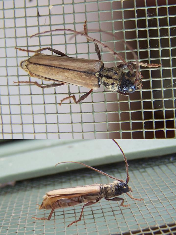 FIGURE 3 FIGURE 3